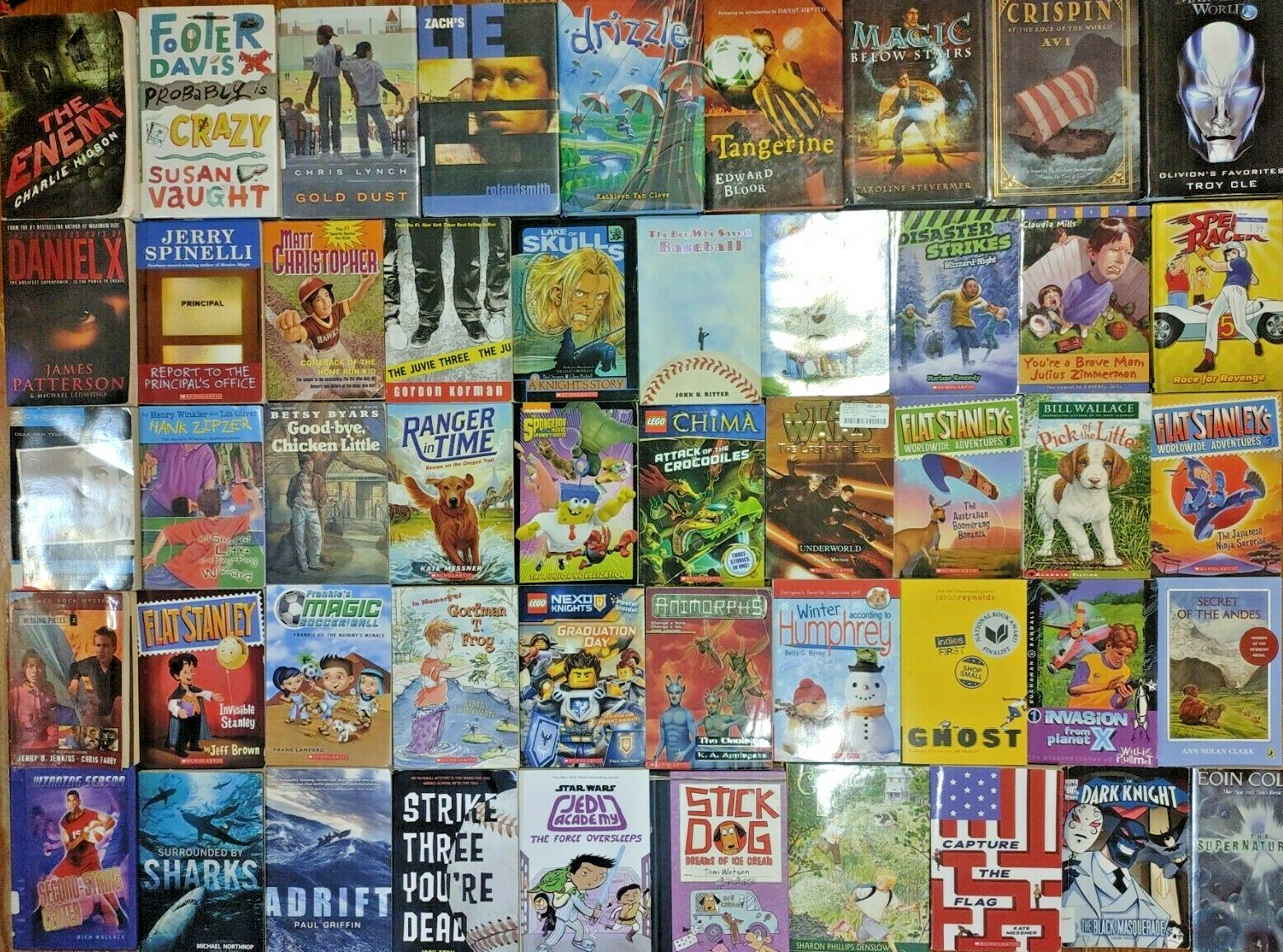 RANDOM Lot of 100 4th Grade AR Chapter Books RL Level 4.0-4.9 Homeschool Teacher