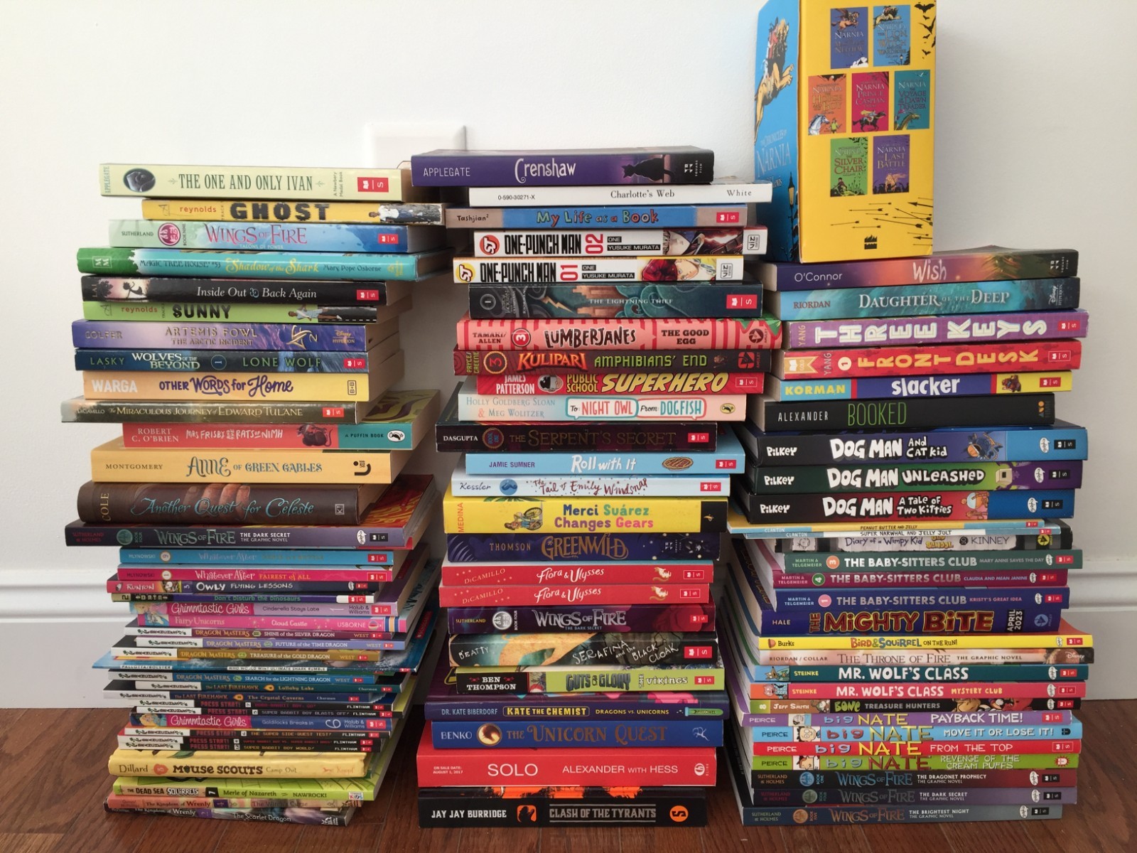 LIKE NEW 30 CHAPTER CHILDREN TEENS RANDOM BOOKS LOT MIX INSTANT LIBRARY 6 -12