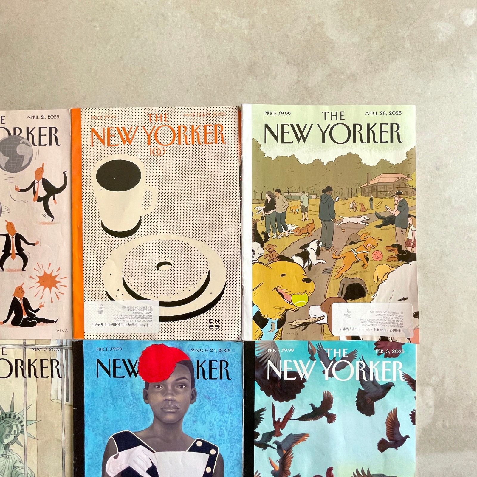 Six 2025 New Yorker Magazine Issues