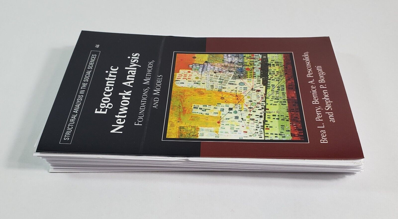Egocentric Network Analysis Foundations Methods and 2018 Loose-leaf