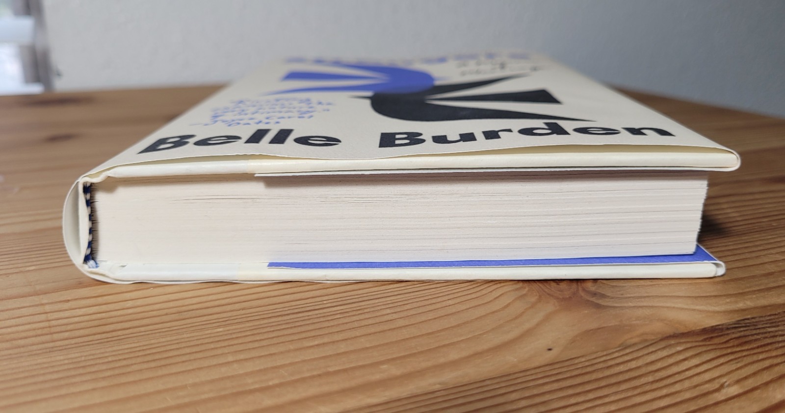 Strangers A Memoir of Marriage by Belle Burden hardcover 9780593733318