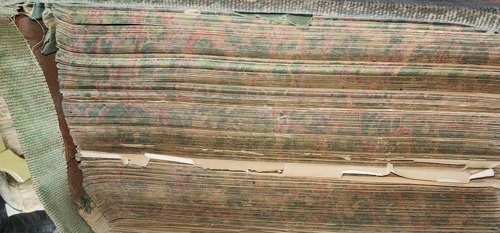 1916 Edition of the Library of Health. Huge Book 20 Volumes In 1