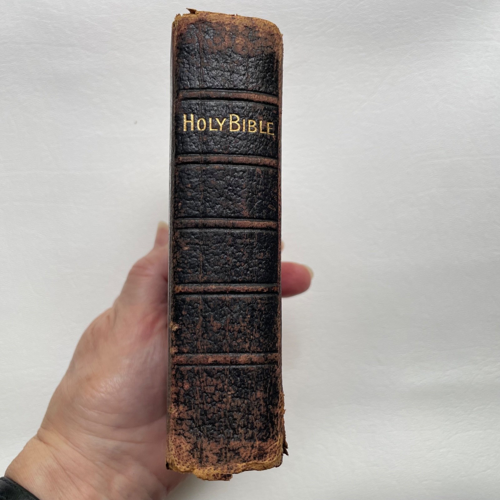 Antique Bible American Bible Society 1894 Compact leather Bound Protestant