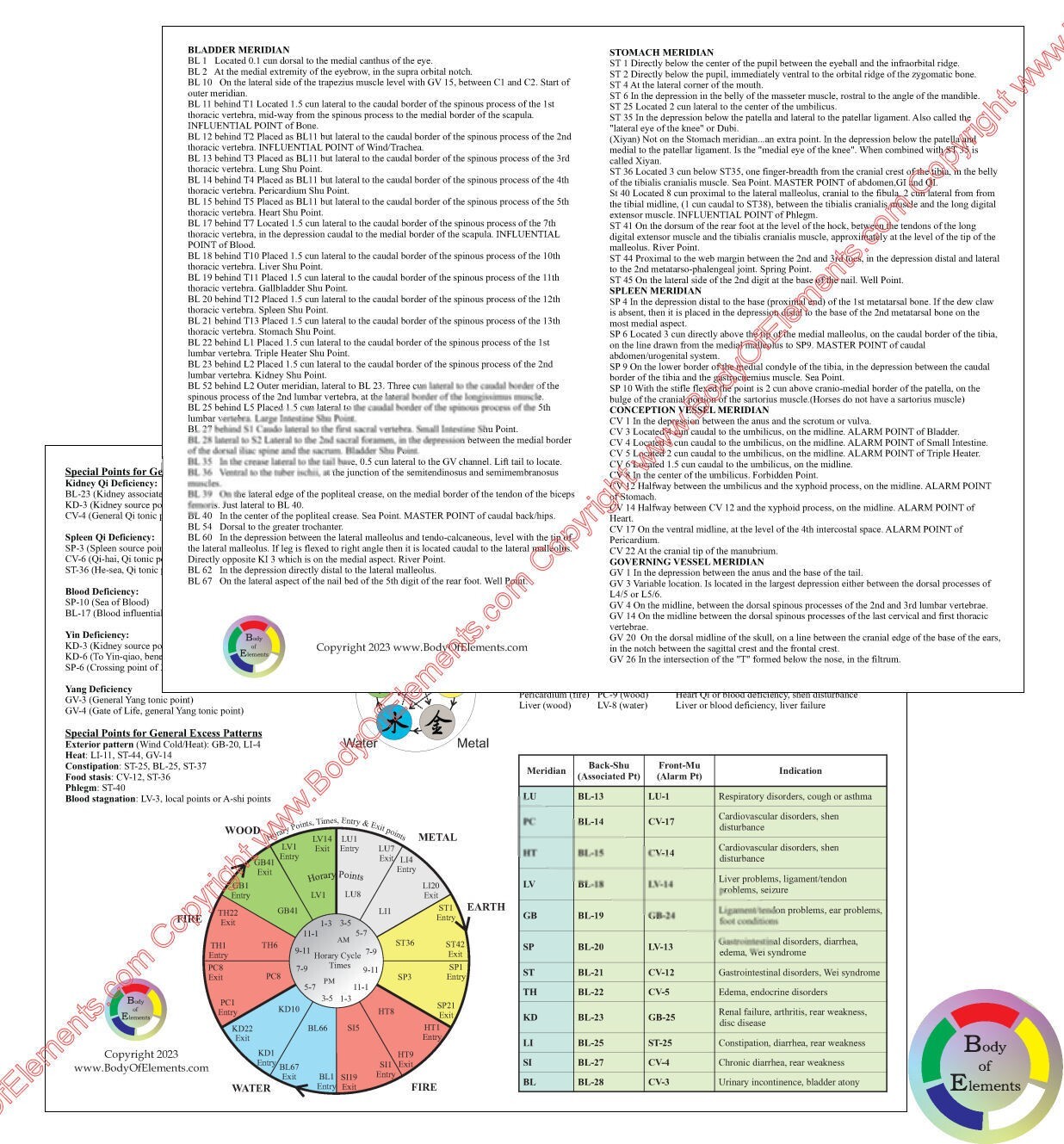Dog Acupuncture Chart Set 8.5″ X 11″ Canine Acupressure Points Reference