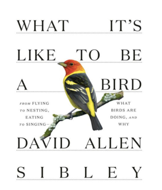 What It’s Like to be a Bird by David Allen Sibley: (0307957896)
