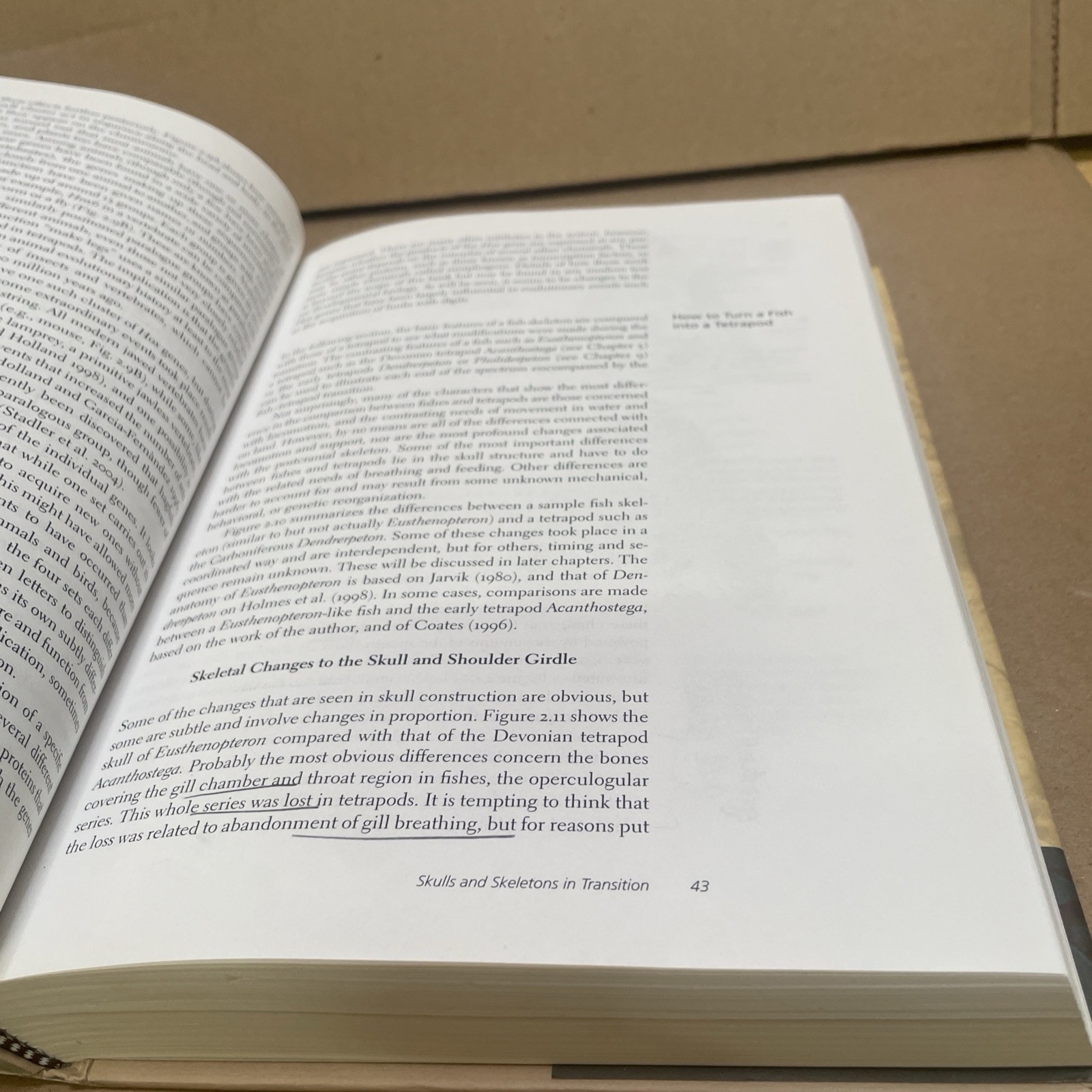 Gaining Ground: The Origin and Evolution of Tetrapods by Clack