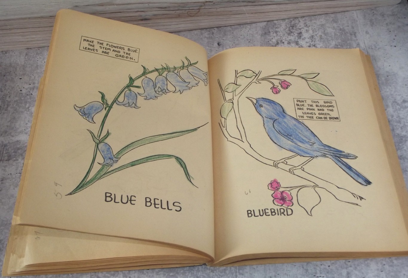 1936 Birds, Flowers and Animals Coloring Book, Used Coloring Book 144 PAGES EB29
