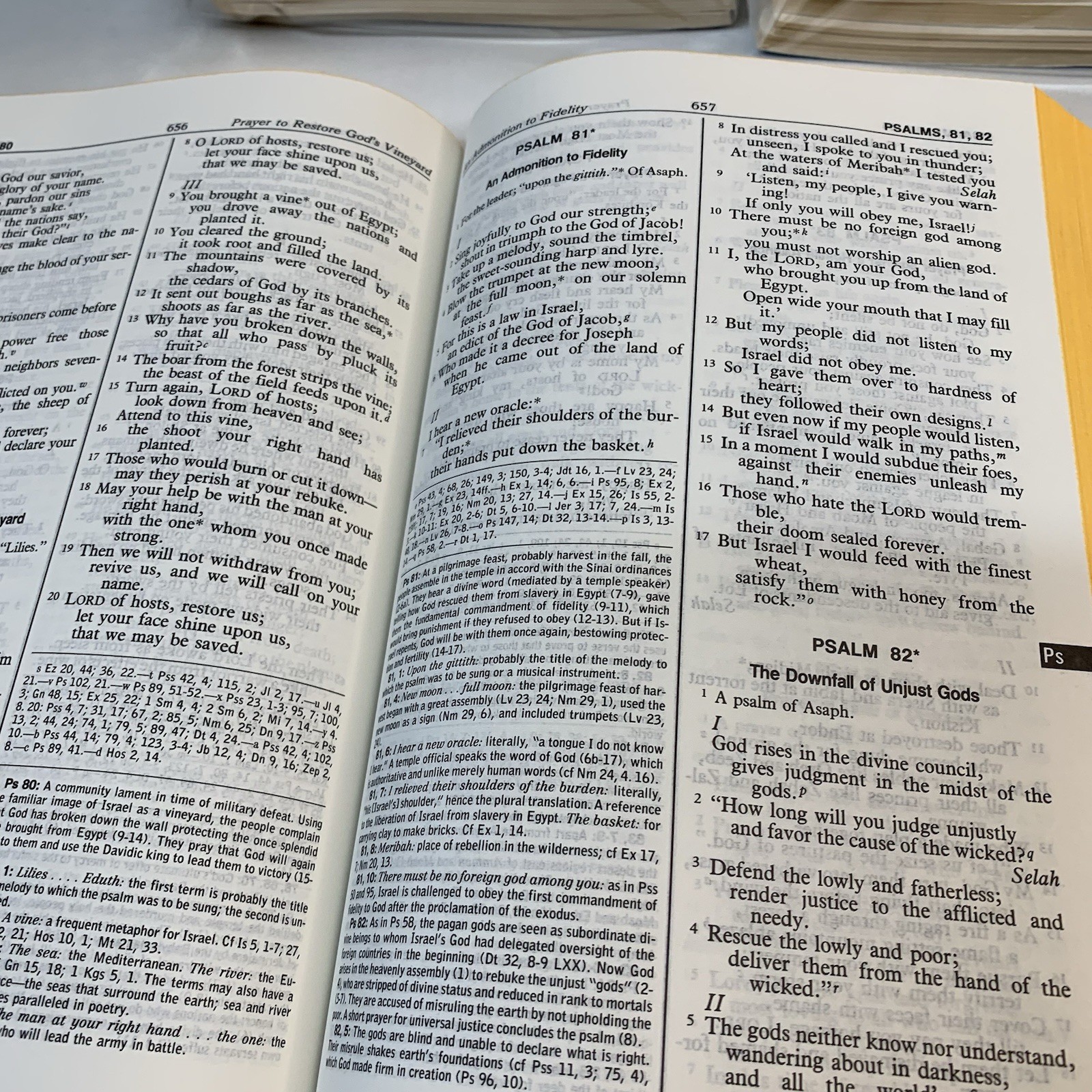 Collegeville Bible Comm. 1983 New/ Old Testament 36 Books+ New American Bible 86