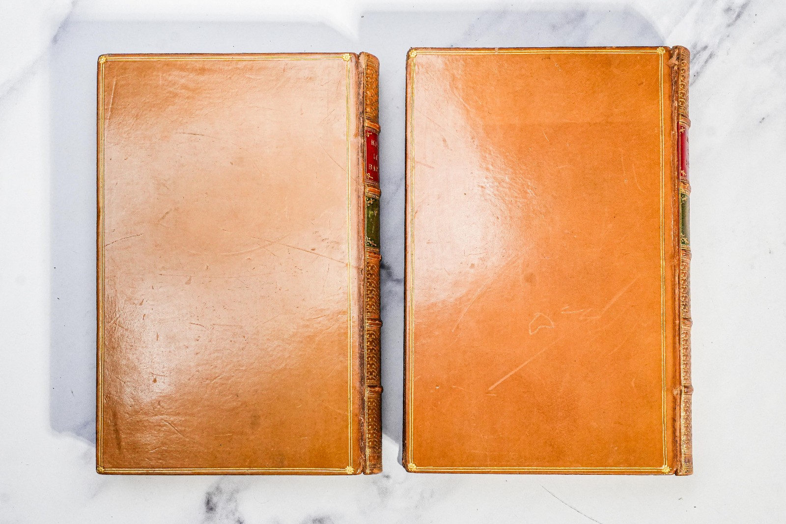 Life and Death John Barneveld Holland John Motely Full Leather Antique Books