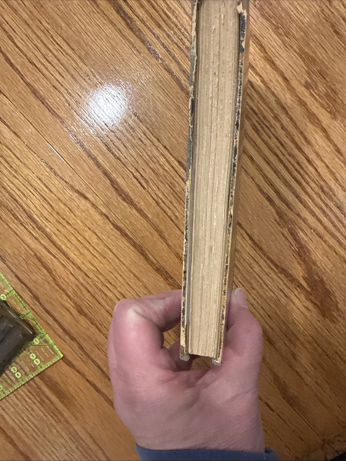 Countess Van Arnim “Fraulein Schmidt & Mr Anstruther”, 1907 Tauchnitz Edition