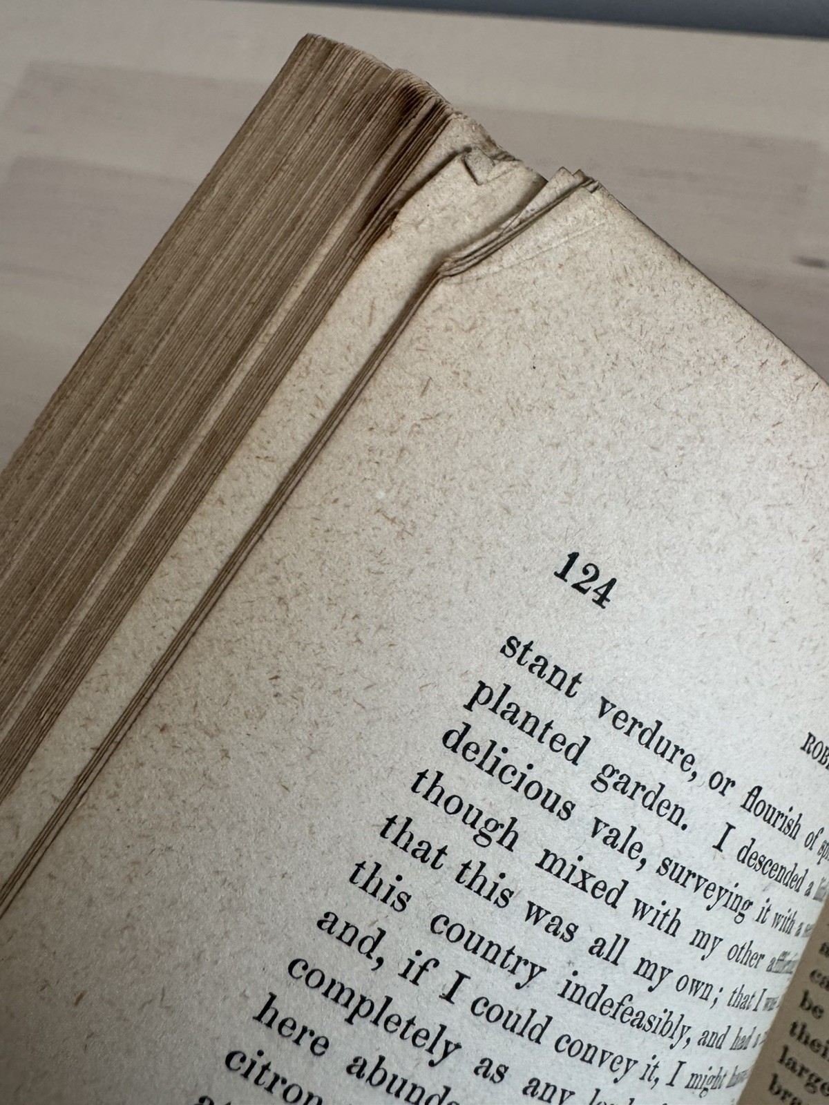 Robinson Crusoe by Daniel DeFoe 1880’s Porter & Coates Antique Hardcover Book