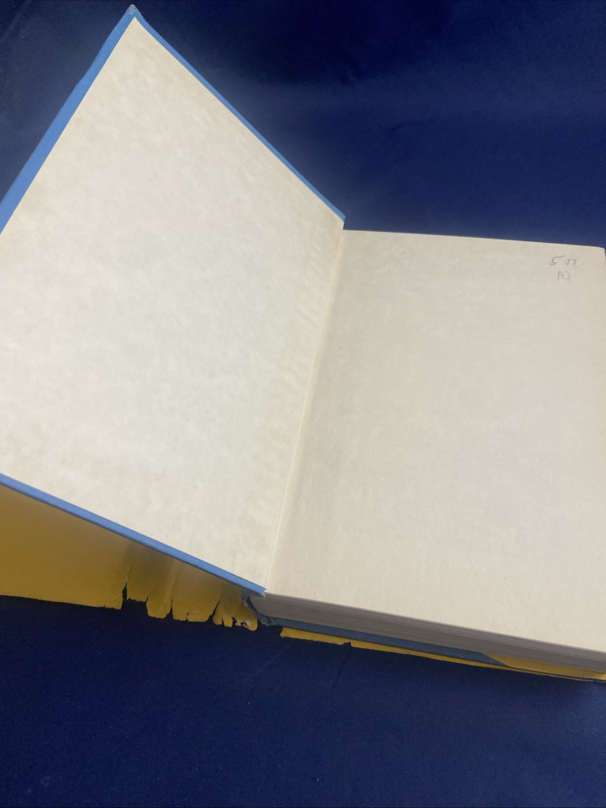 Elmer Rice NATIONAL STANDARD SQUAB BOOK 59th Printing 1948 Ed. Pigeons HCDJ
