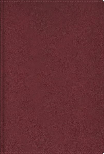 Biblia de estudio trasfondo cultural/ Cultural Backgrounds Study Bible : Rvr …