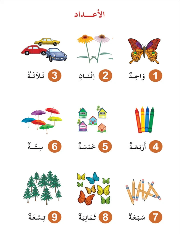 Contemporary Arabic – Reading and Exercises: Level 1 (A1, Beginner Level)