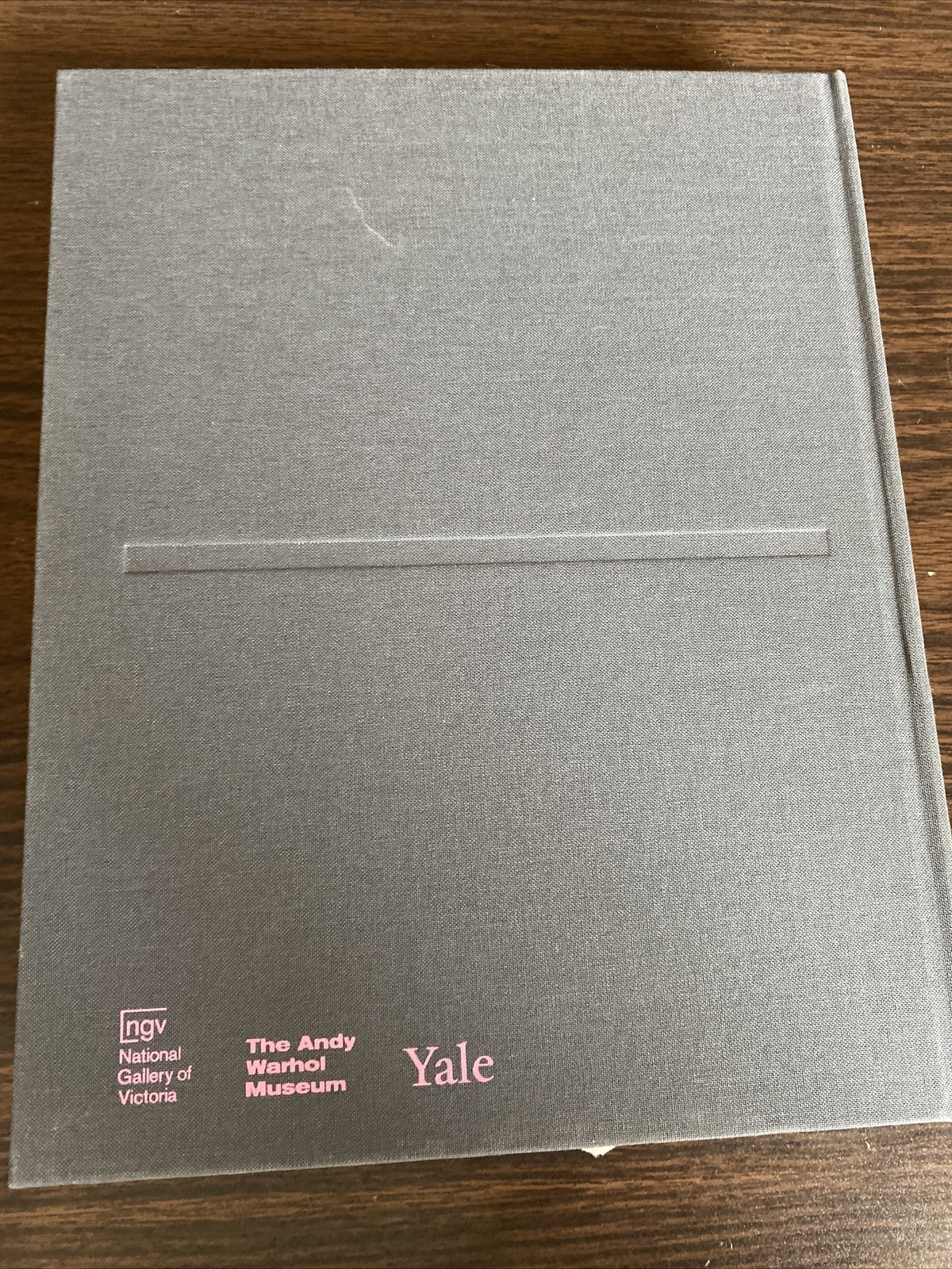 ANDY WARHOL | AI WEIWEI By Max Delany & Eric C. Shiner – Hardcover **Excellent**