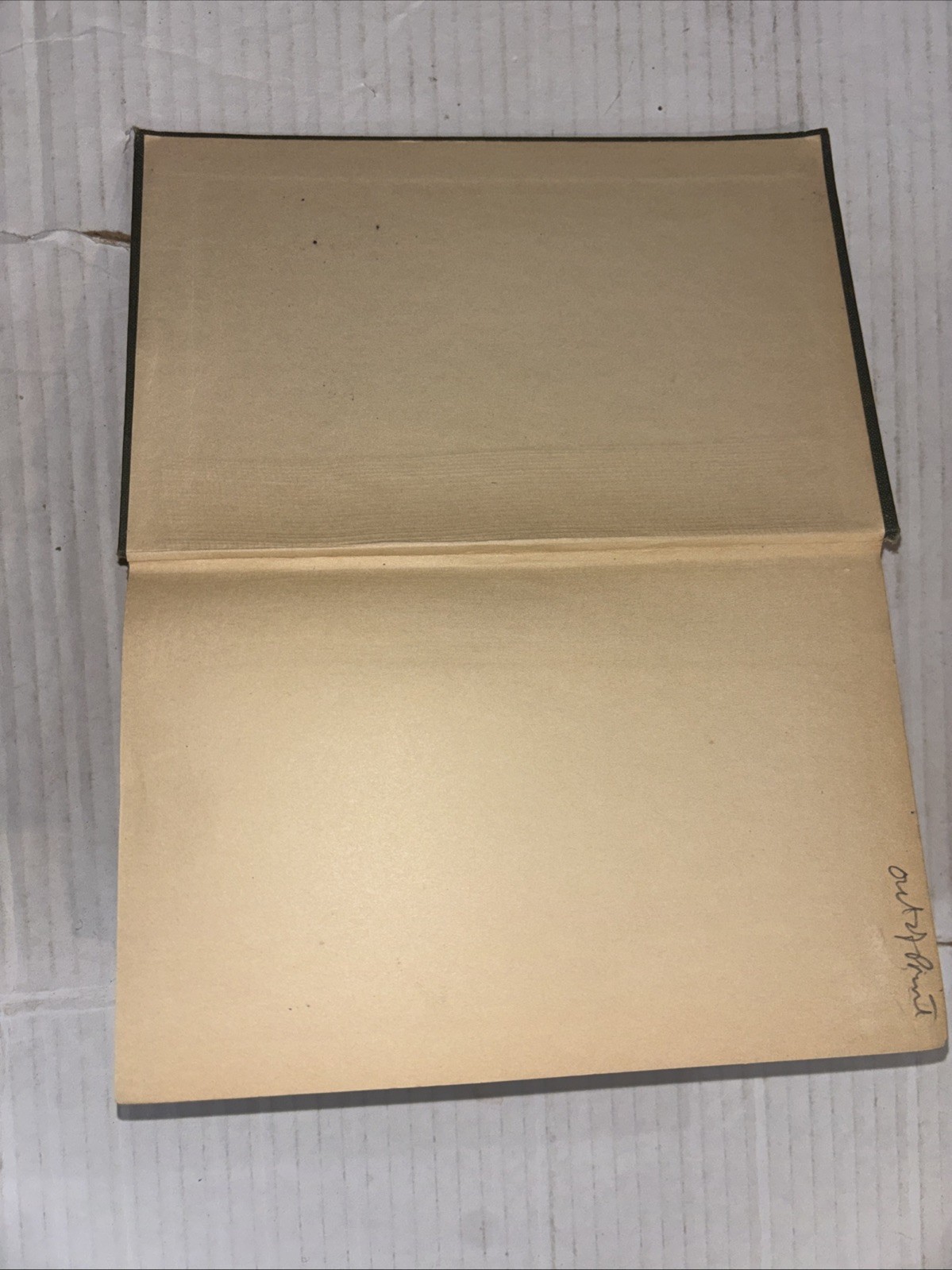 Realms of the Living Dead – Curtiss 1917 1st Printing Hardcover Mysticism Occult