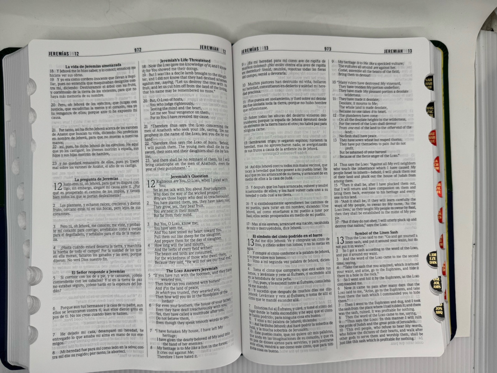 Biblia Bilingüe NKJV/RVR60, Biblia Bilingüe, Leathersoft, Verde y Azul indice