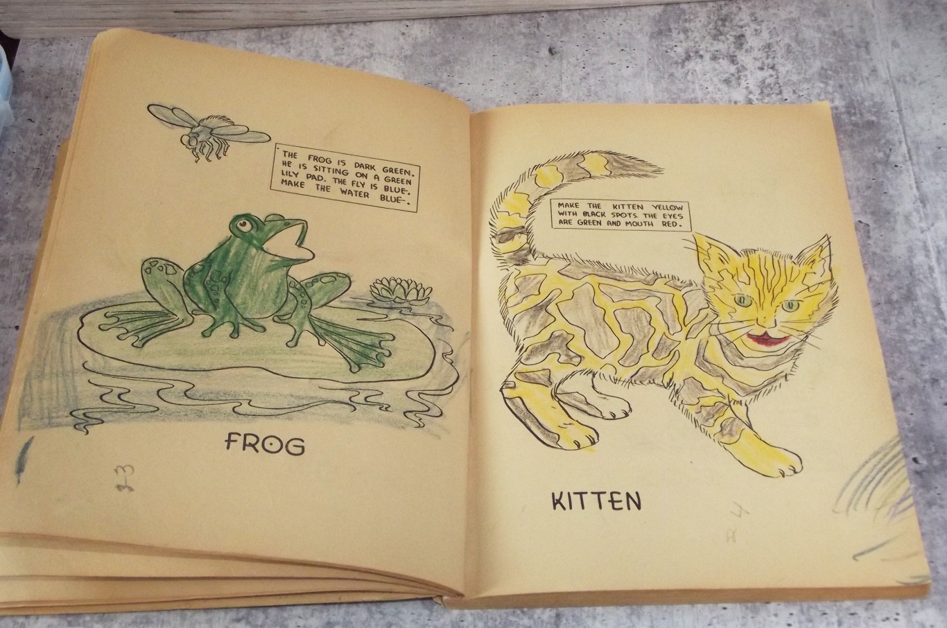 1936 Birds, Flowers and Animals Coloring Book, Used Coloring Book 144 PAGES EB29