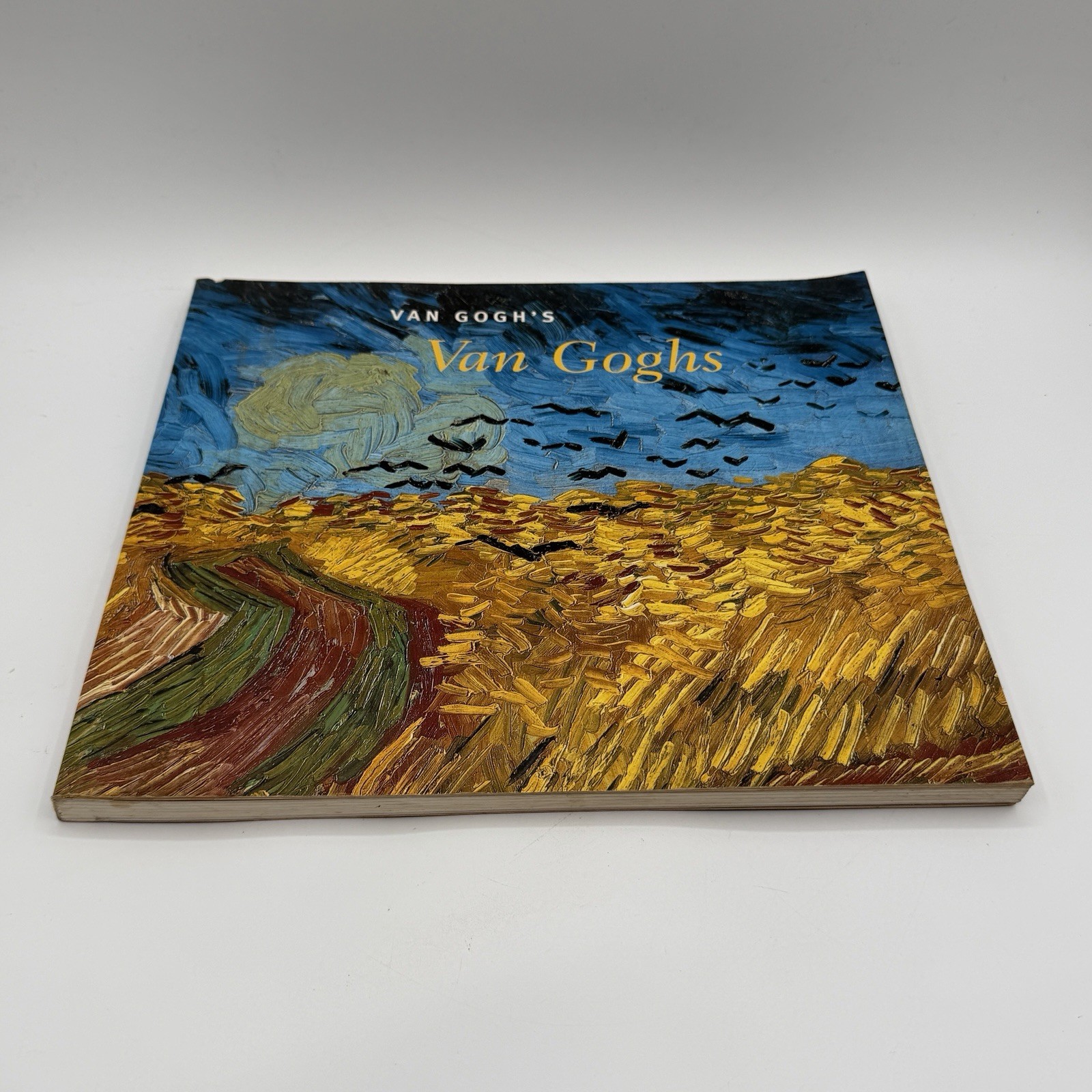 Van Gogh’s Van Goghs National Gallery Of Art, Washington Abrams Book