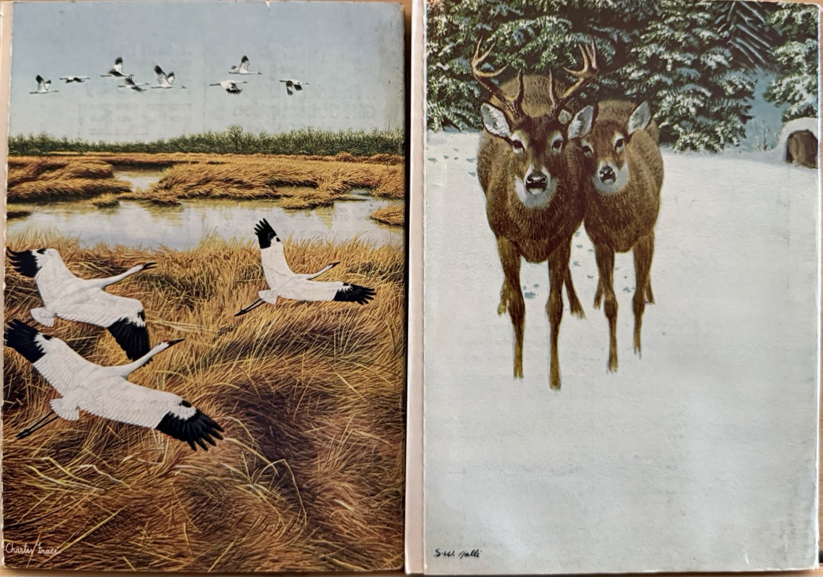 1972 October November 2 READER’S DIGEST MAGAZINE Vintage Retro Timeless Shorts