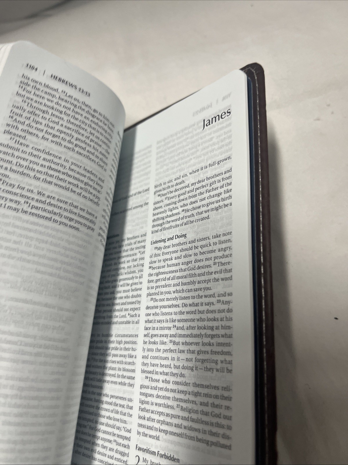 Blue-Gray/ Brown NIV Compact Thinline Bible, Italian Duo-Tone Edition, Biblica/Z
