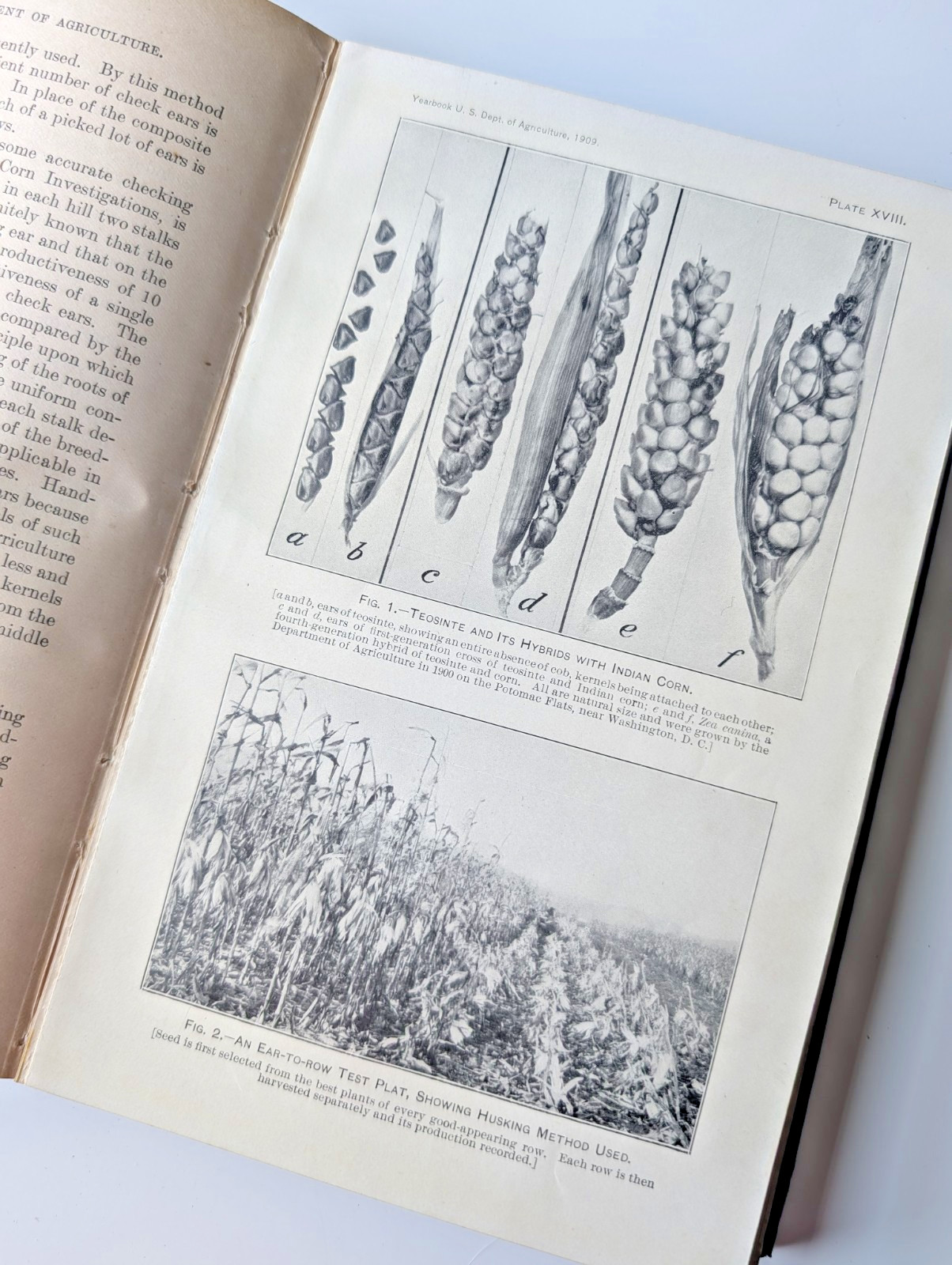 Yearbook of the U.S. Department of Agriculture, 1909 Illustrated Antique HC Book
