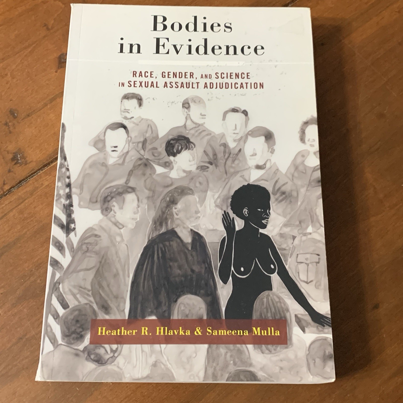 Bodies In Evidence Book Textbook Hlavka & Mulla 2021 Six Chapters 299 Pages Race