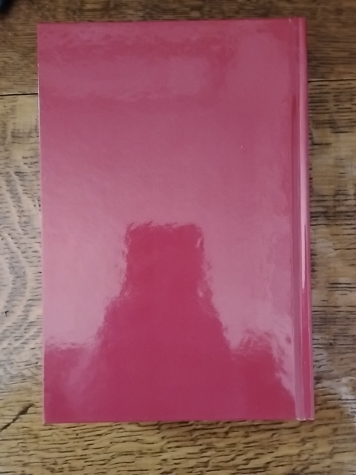 The Plot Against the Church by Maurice Pinay: Hardcover