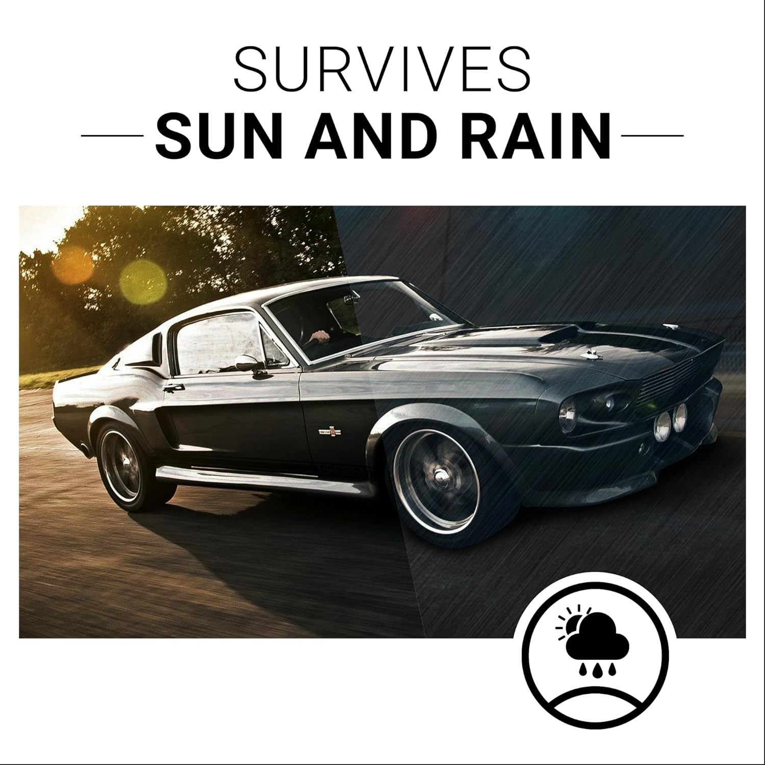 8 Oz User-Friendly Plastic Restorer – Lasting Results for Interior and Exterior