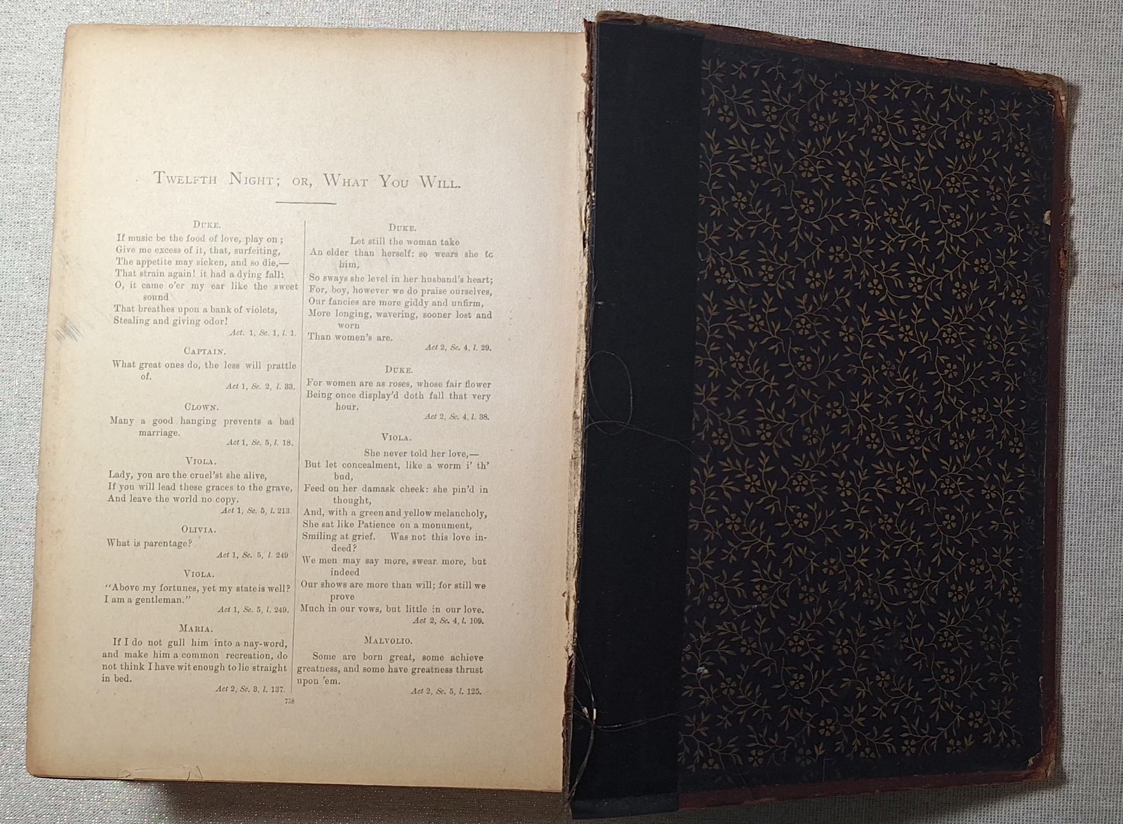 Antique Shakespeare Art Edition 1889 Decorative Debossed Gold Gilt Cover, Edges