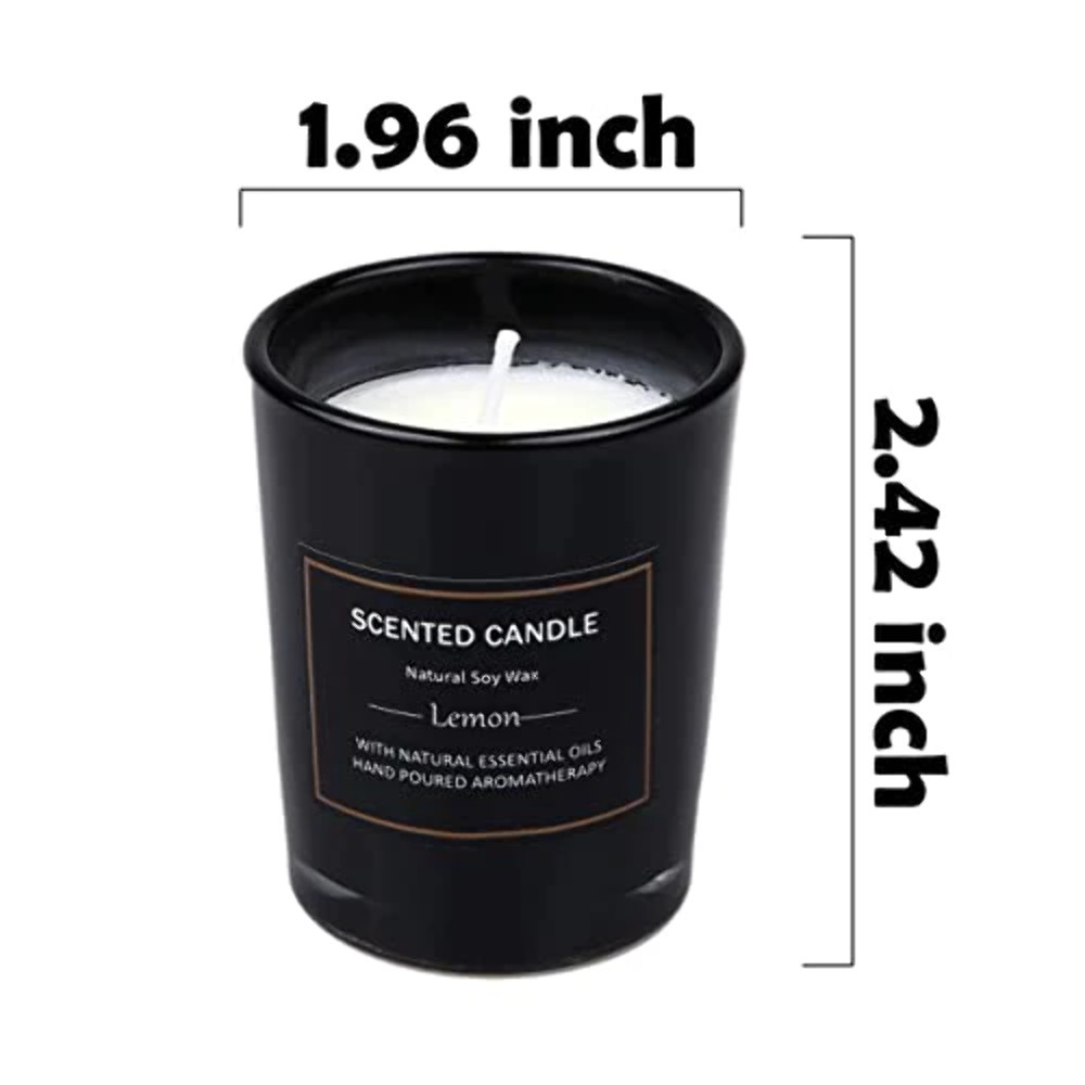 12 Pack Scented Candles Gift Set 2.5oz Aromatherapy Candle Soy