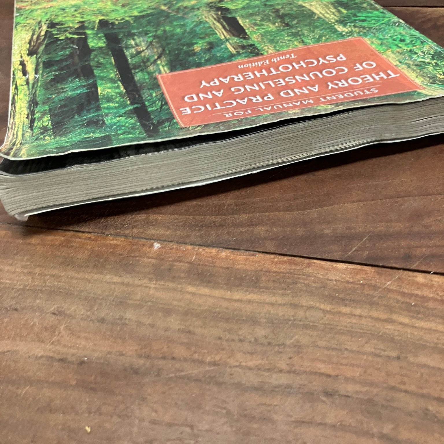 Student Manual Theory & Practice Counseling Psychotherapy Corey 2015 10th Ed