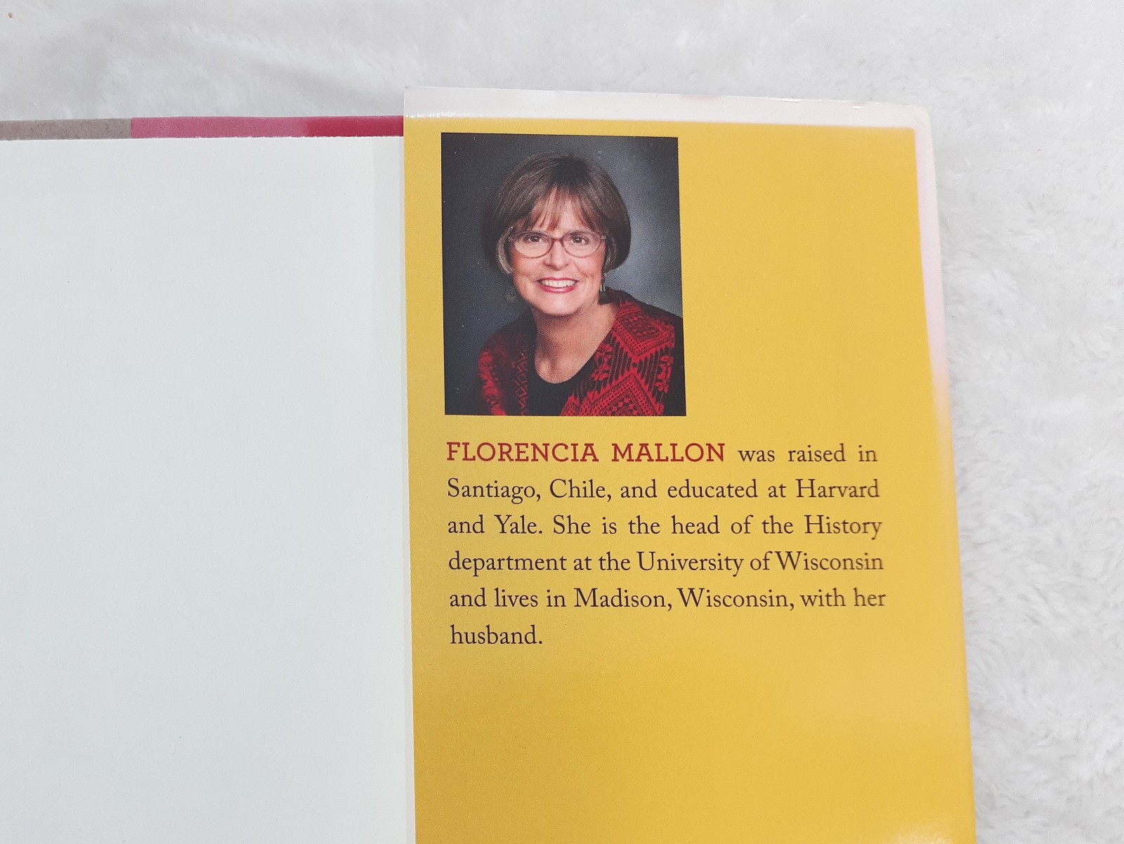 Beyond the Ties of Blood Book HC by Florencia Mallon Dust Jacket Signed