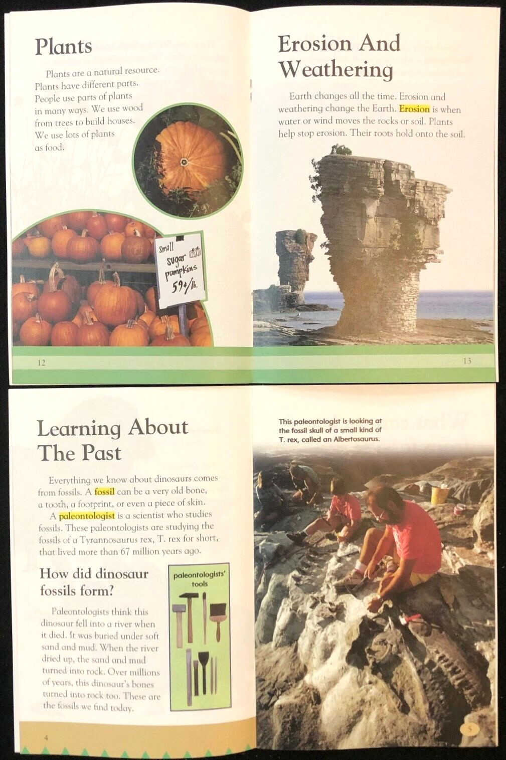 2nd Grade EARTH SCIENCE Curriculum Readers (9 books) Teachers/Homeschool/Tutors