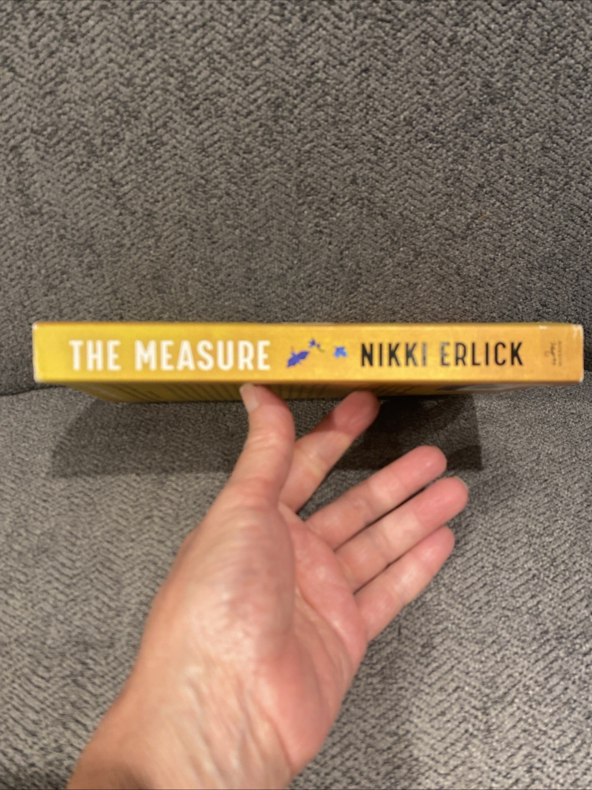 Measure : A Novel by Nikki Erlick (2024, Trade Paperback)