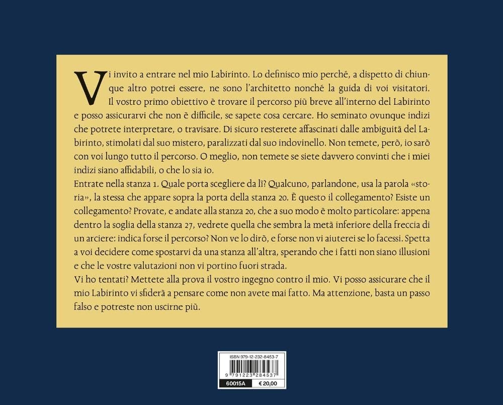 Christopher Manson The Maze. Risolvi il puzzle letterario più diffic (Paperback)
