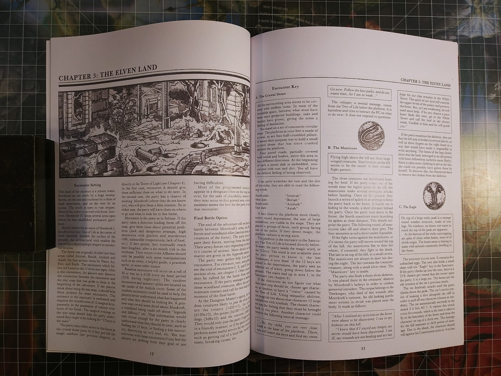 CM7 The Tree of Life – Dungeons & Dragons – D&D