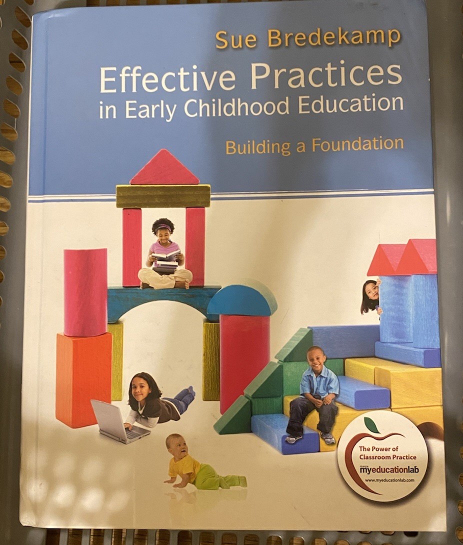Effective Practices in Ealry Childhood Education by Sue Bredekamp