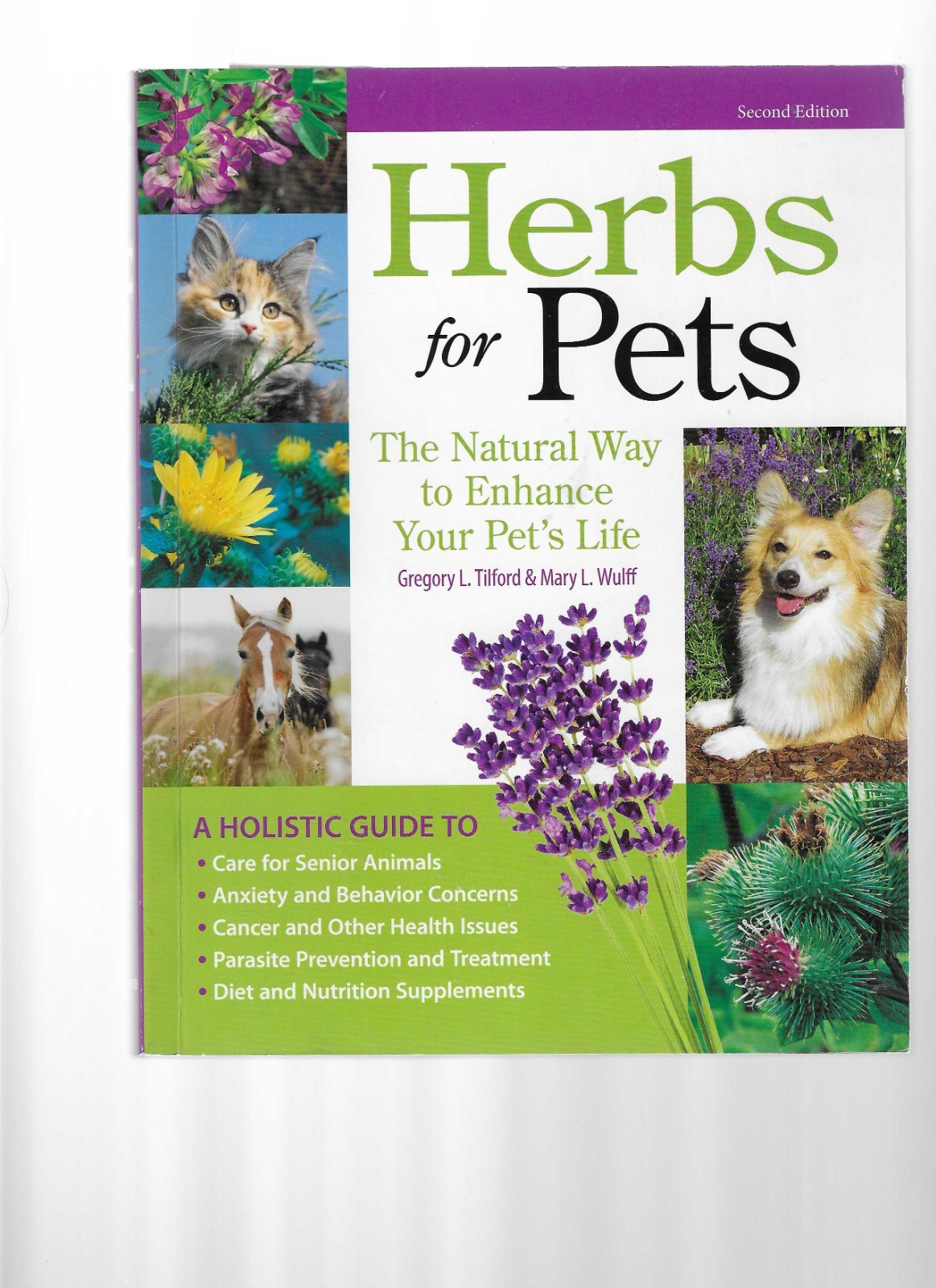 Herbs for Pets : The Natural Way to Enhance Your Pet’s Life, Paperback by Til…