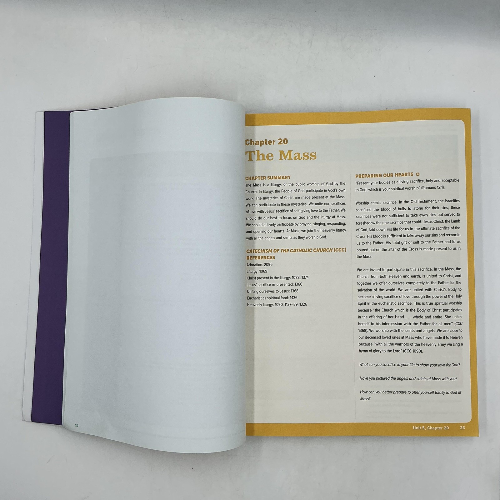 WORD Of LIFE Sample Book Augustine Institute Paperback Yellow Good Condition