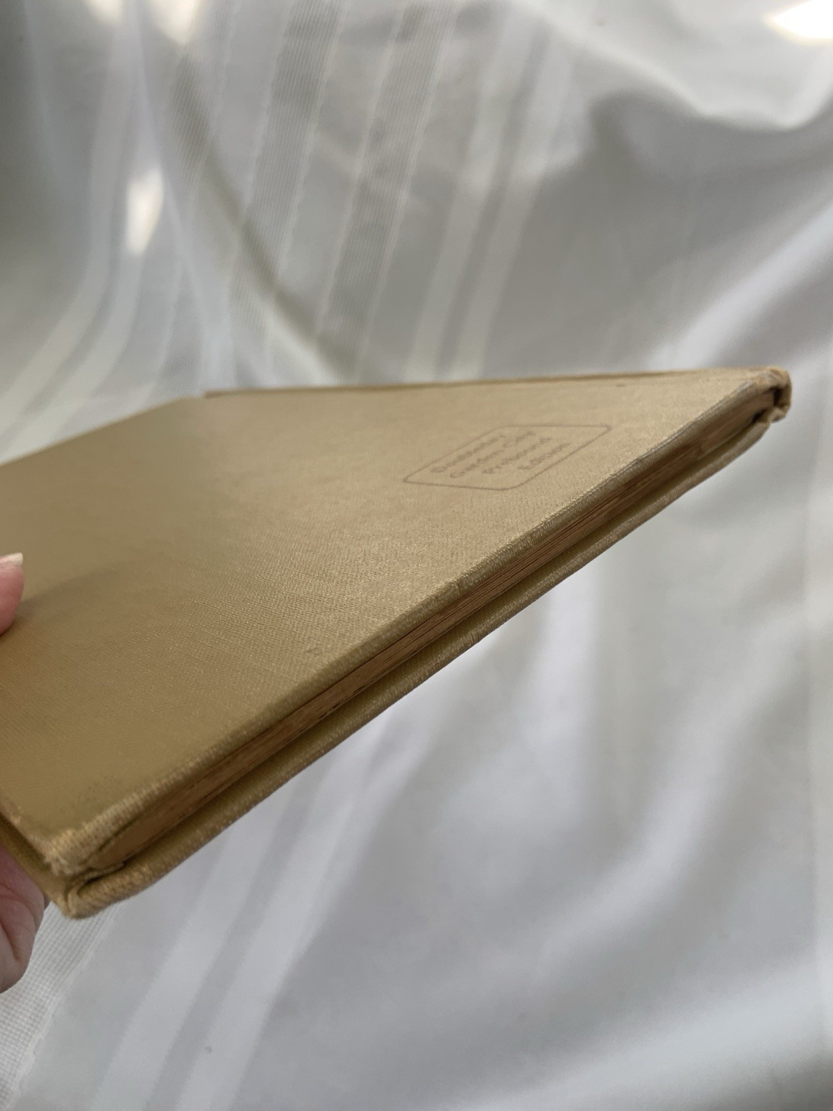 The Velveteen Rabbit, Margery Williams, HC, 1920s Early Rare CL Edition