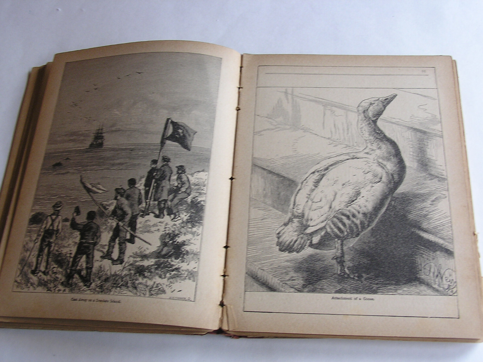 Vintage Rare 1889 Children’s hardcover- 166 pages