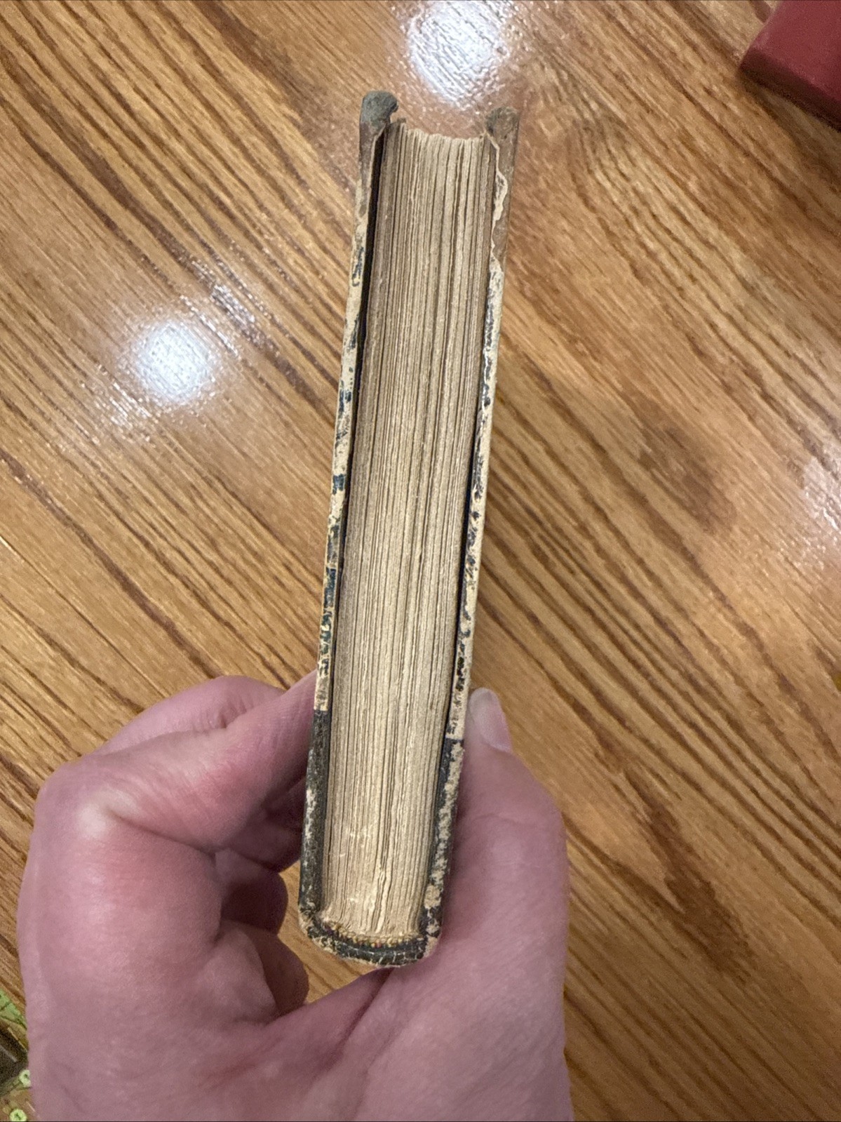Countess Van Arnim “Fraulein Schmidt & Mr Anstruther”, 1907 Tauchnitz Edition
