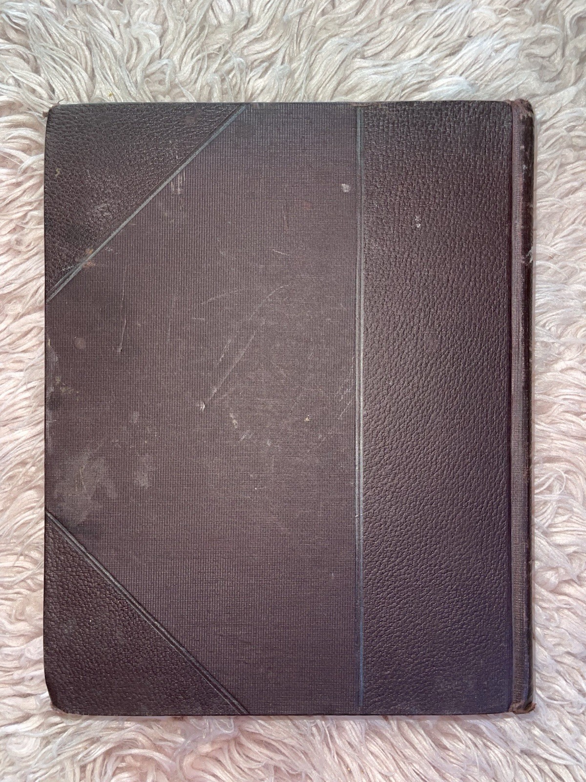 1902 The Catholic Church Alone Five Volumes In One By Rev. M. A. White✝️👀☚☚☚☚☚