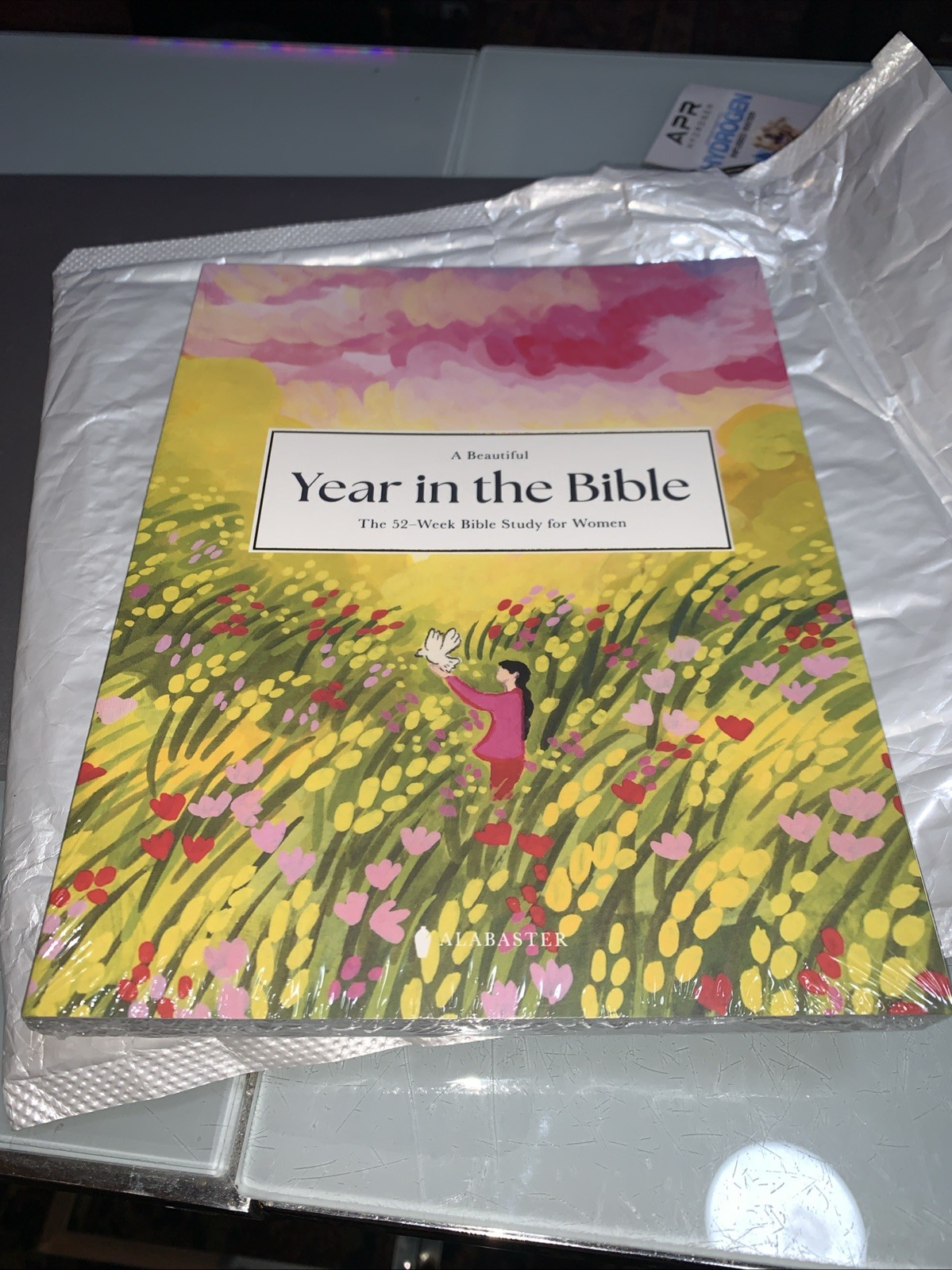 Beautiful Year in the Bible: the 52-Week Bible Study for Women (SC) by Alabaster