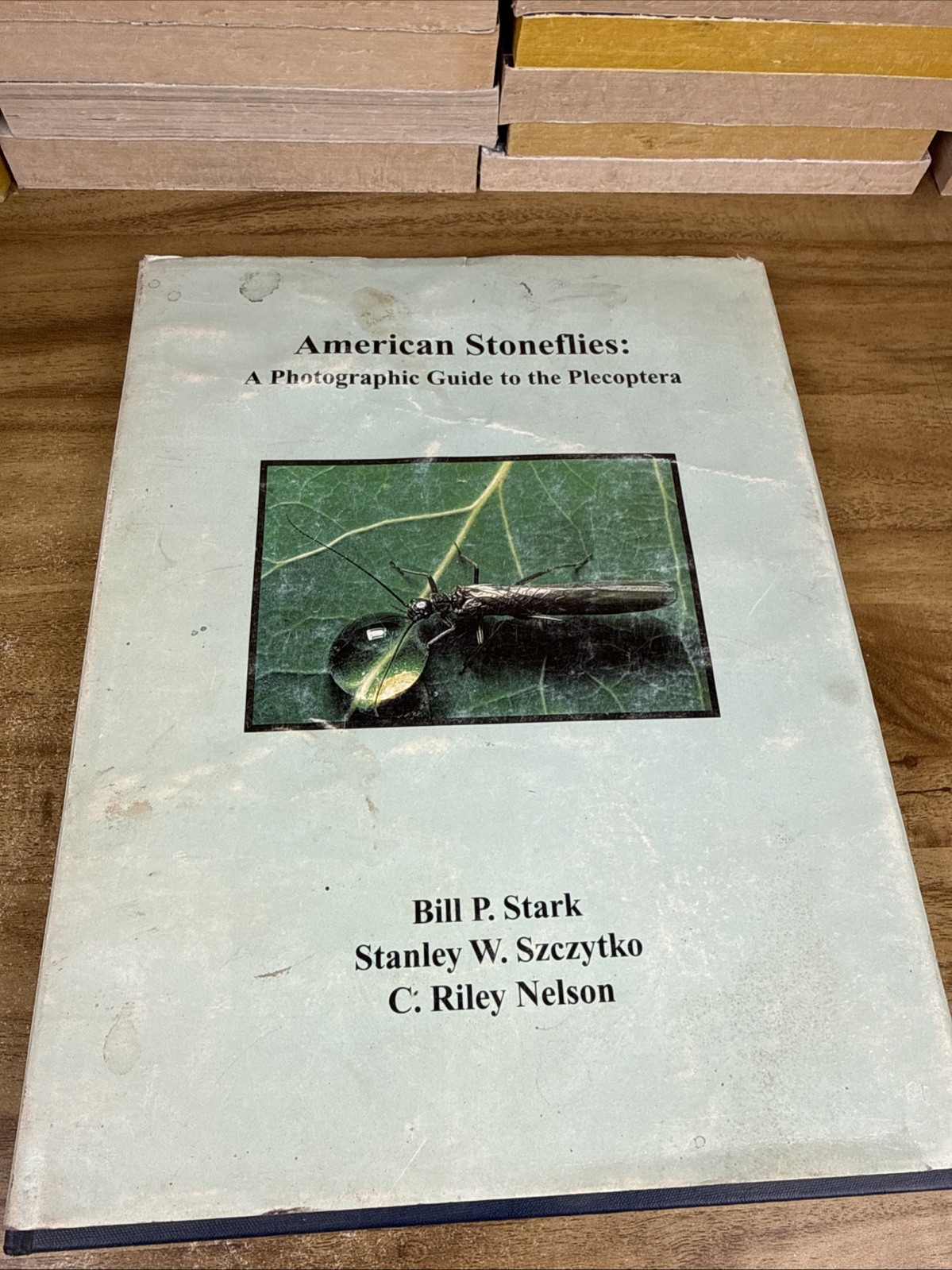American stoneflies: A photographic guide to the Plecoptera by Bill P. Stark
