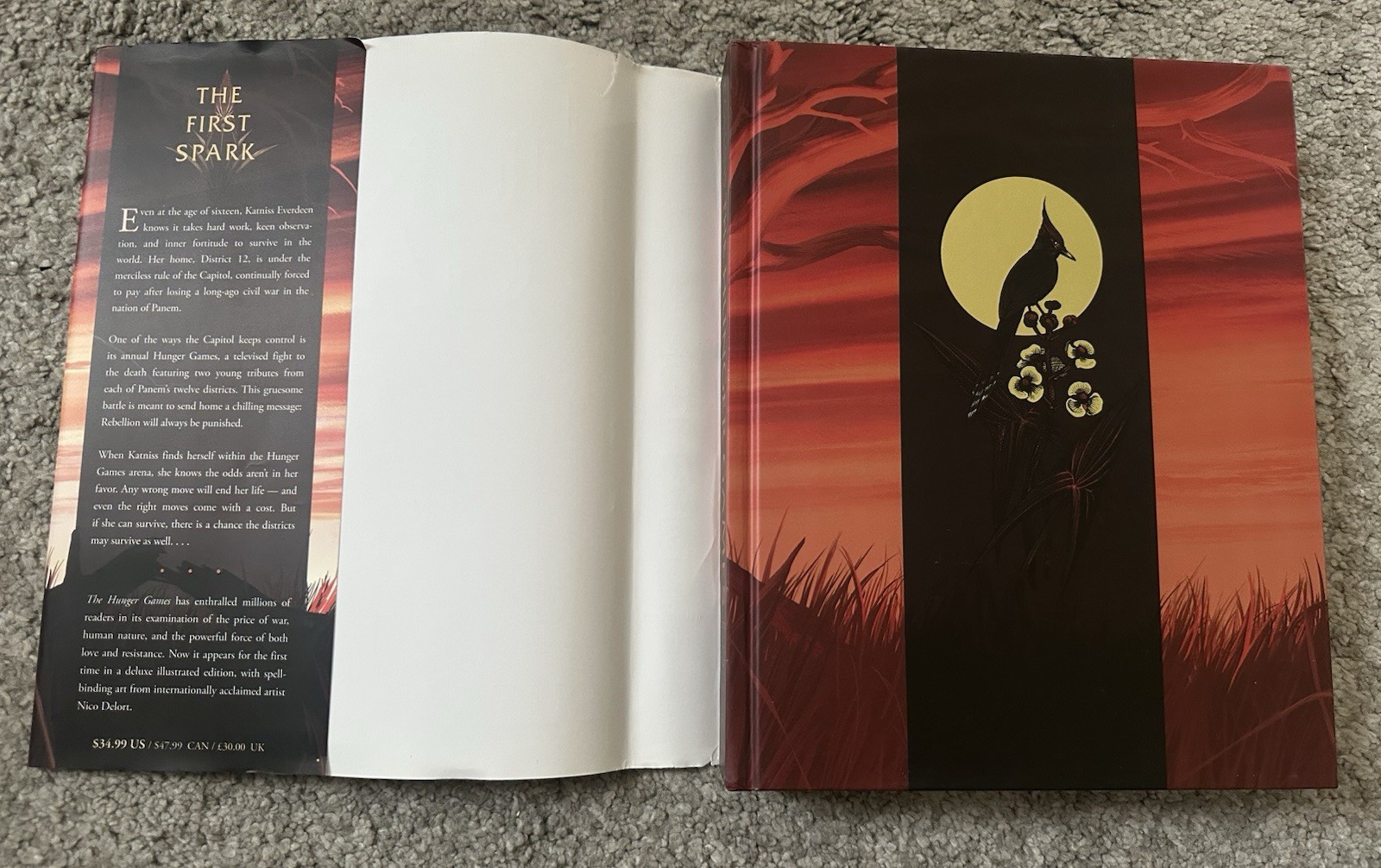 Suzanne Collins The Hunger Games Illustrated Edition Hardcover Nico Delort Art