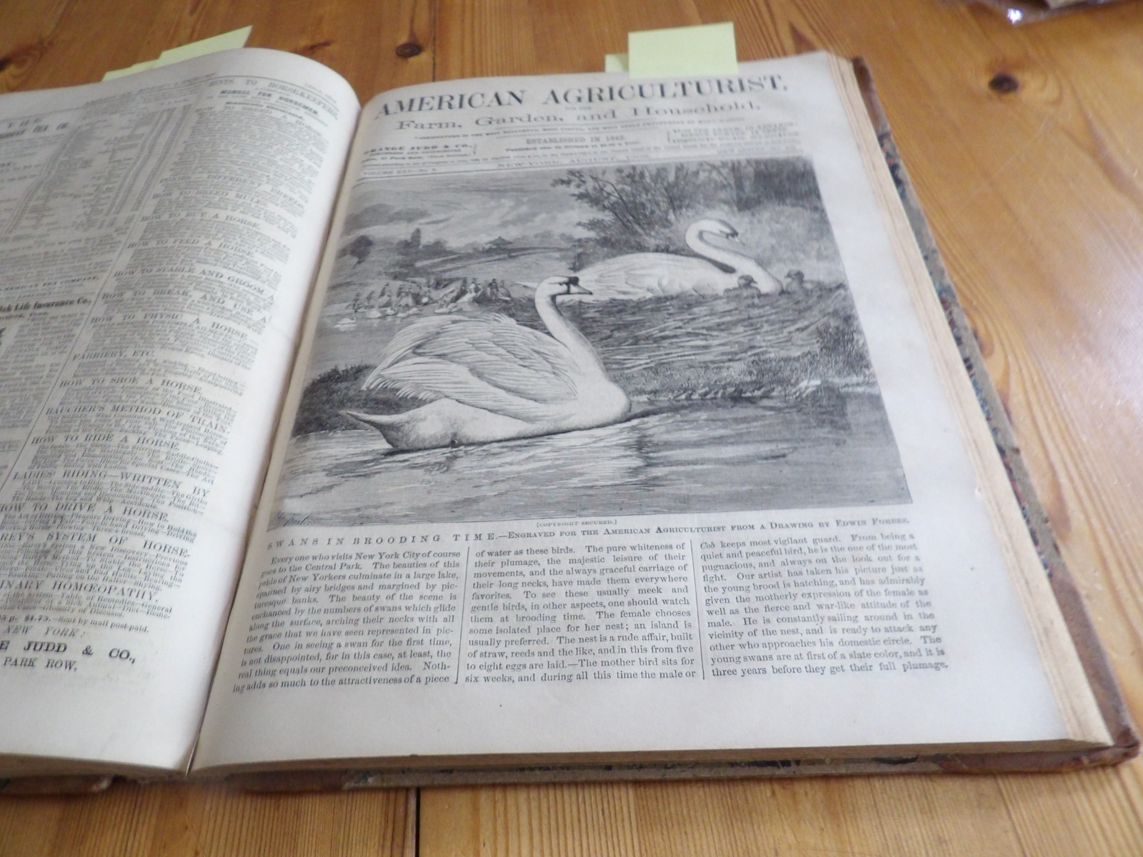 1866 Bound American Agriculturist Farm 12 issues, 452 pages Agriculture Ads