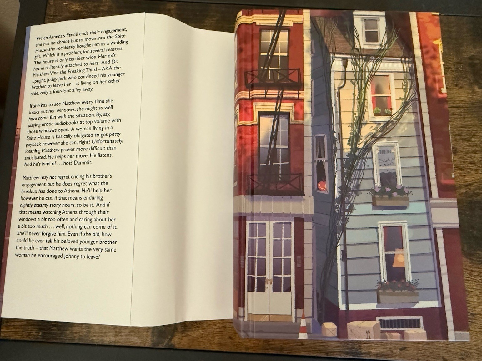 At First Spite: Afterlight (Illumicrate) by Olivia Dade