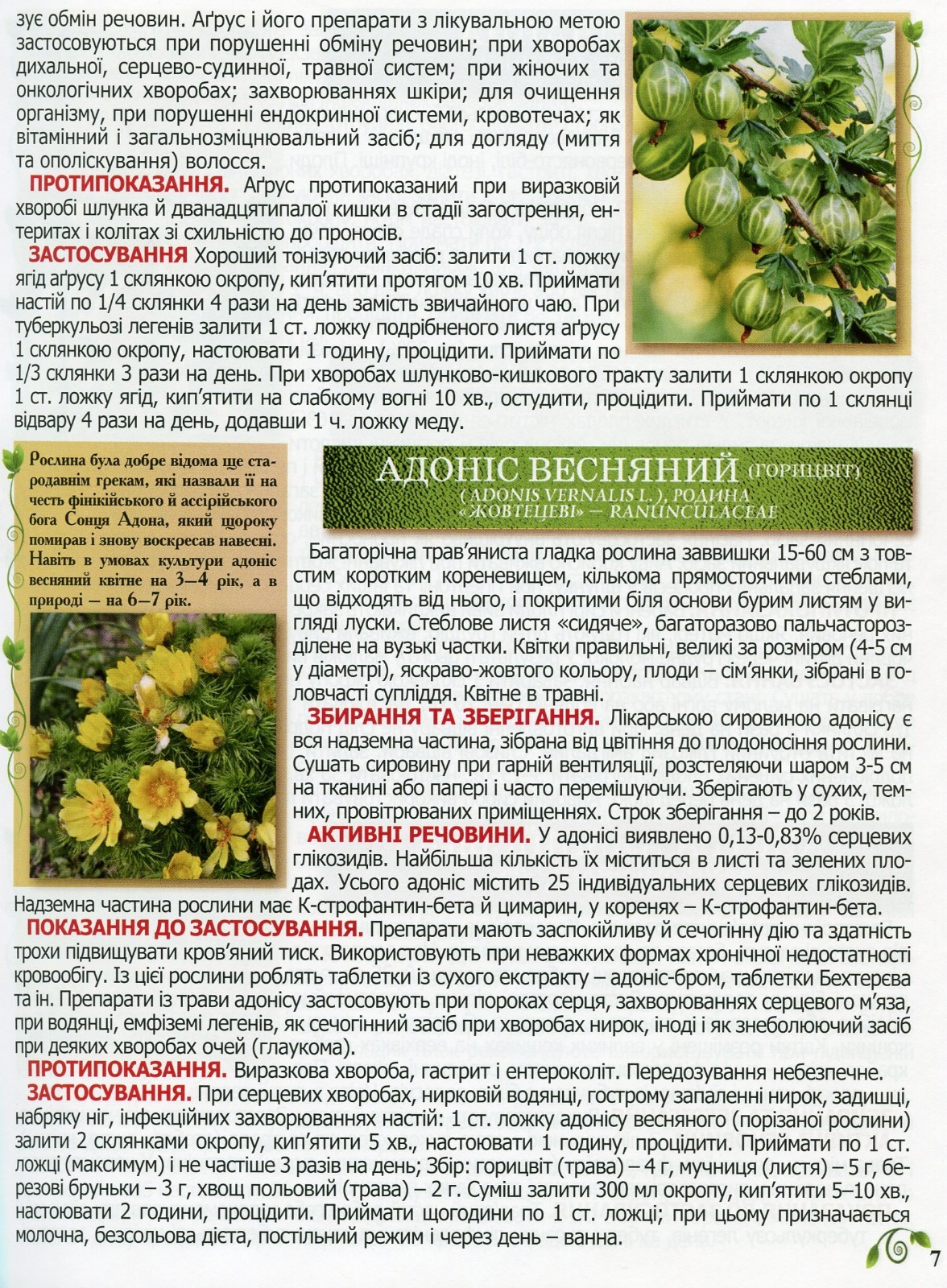 Book In Ukrainian Повний атлас лікарських рослин Author not specified Complete